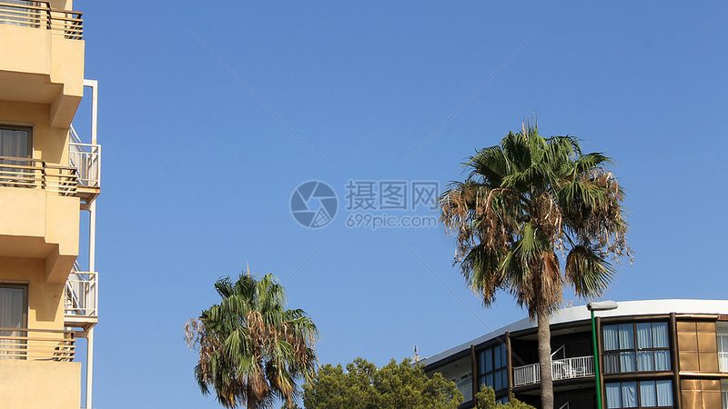 连锁民宿管理系统定制开发的必要性及优势